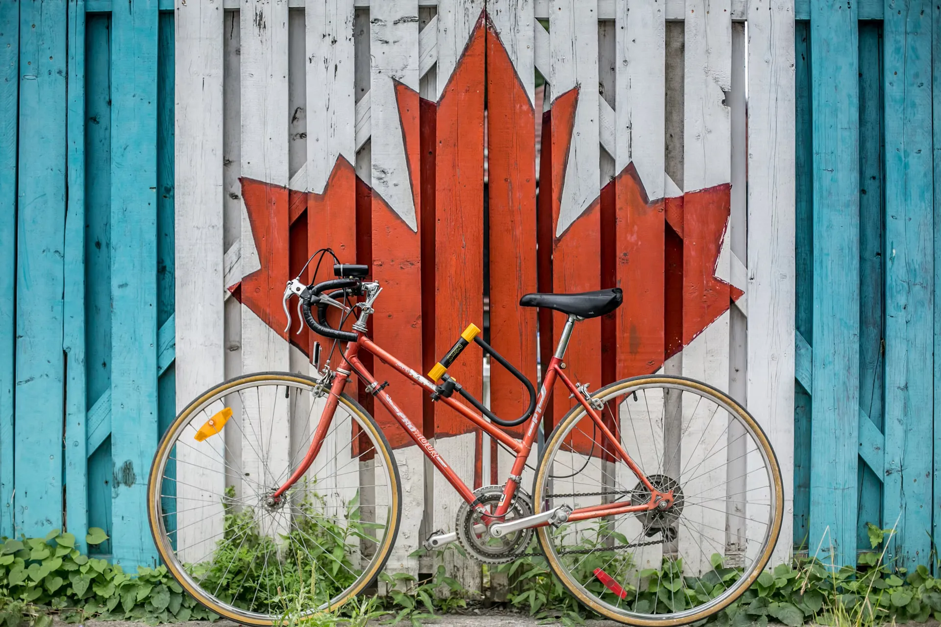 Canada logo
