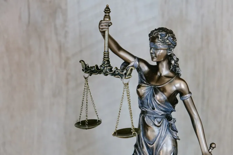 Lawyers & Legal Firms