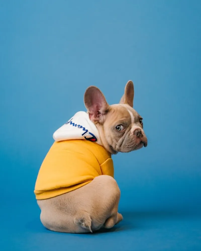 Veterinary Clinics