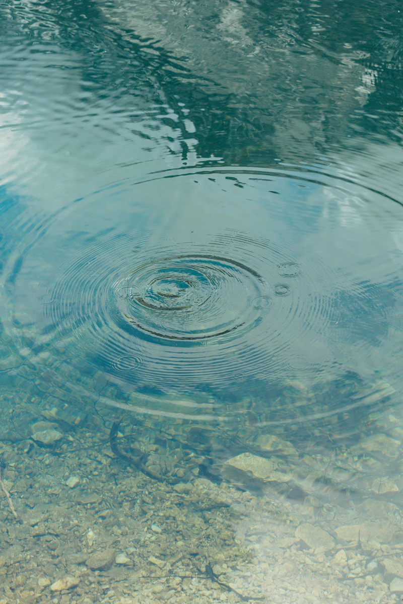 Medical clinic reception desk with phone and appointment calendar